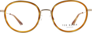 Ted Baker Stevan 8268 braun - Officebrille